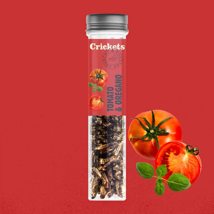 Edible Crunchy Crickets in a Test Tube – Chilli & Lime – Rescue Deal (BBD 21.10.)