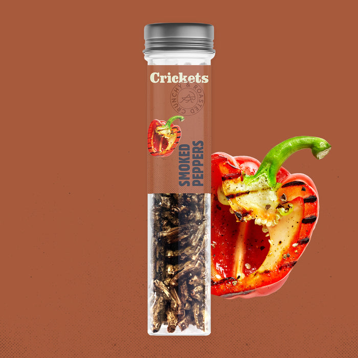 Edible Crunchy Crickets in a Test Tube – Chocolate & Cinnamon – Rescue Deal (BBD 21.10.)