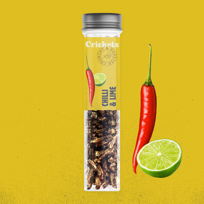 Edible Crunchy Crickets in a Test Tube – Parmesan – Rescue Deal (BBD 21.10.)
