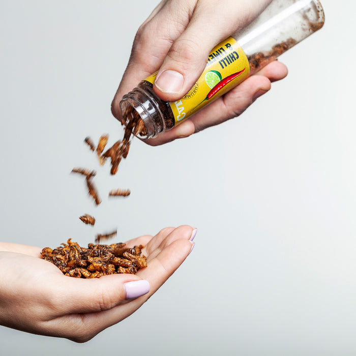 Edible Crunchy Crickets in a Test Tube – White Chocolate – Rescue Deal (BBD 21.11.)