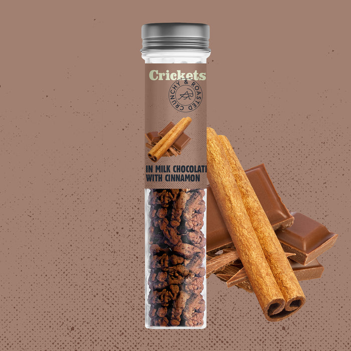 Chocolate & Cinnamon 🤎