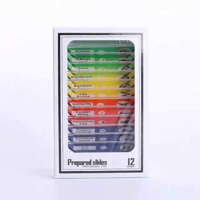 Specimen 12PCS / 10.5x5.3 Centimeter
