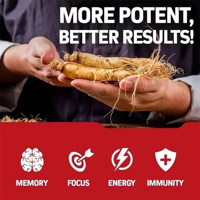 Mandotos Korean Red Panax Ginseng capsules for energy, mood, stamina, and mental health support.