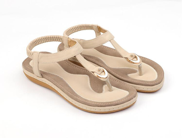 Apricot Color / 37
