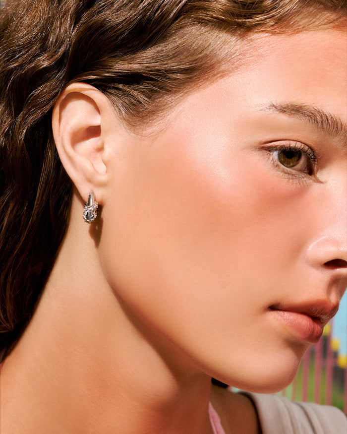 YVIS Diverse Stainless Hoop Earrings - Waterproof Collection